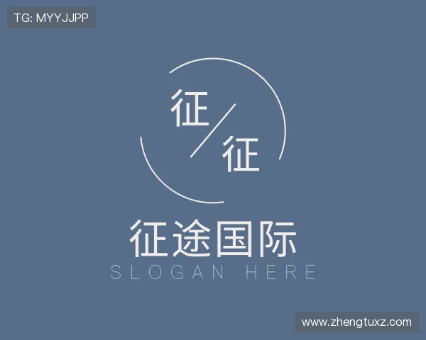 关于征途国际
